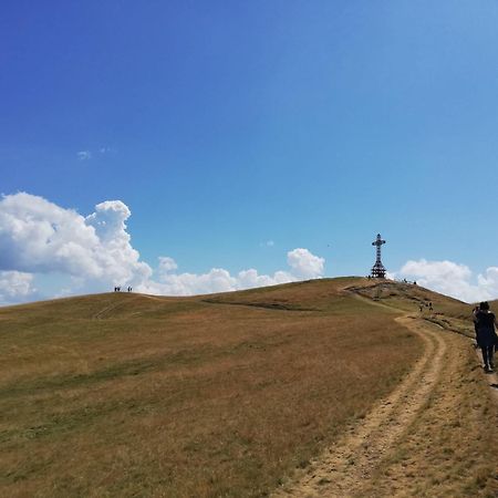CeticaIl Rifugio Di Vale别墅 外观 照片