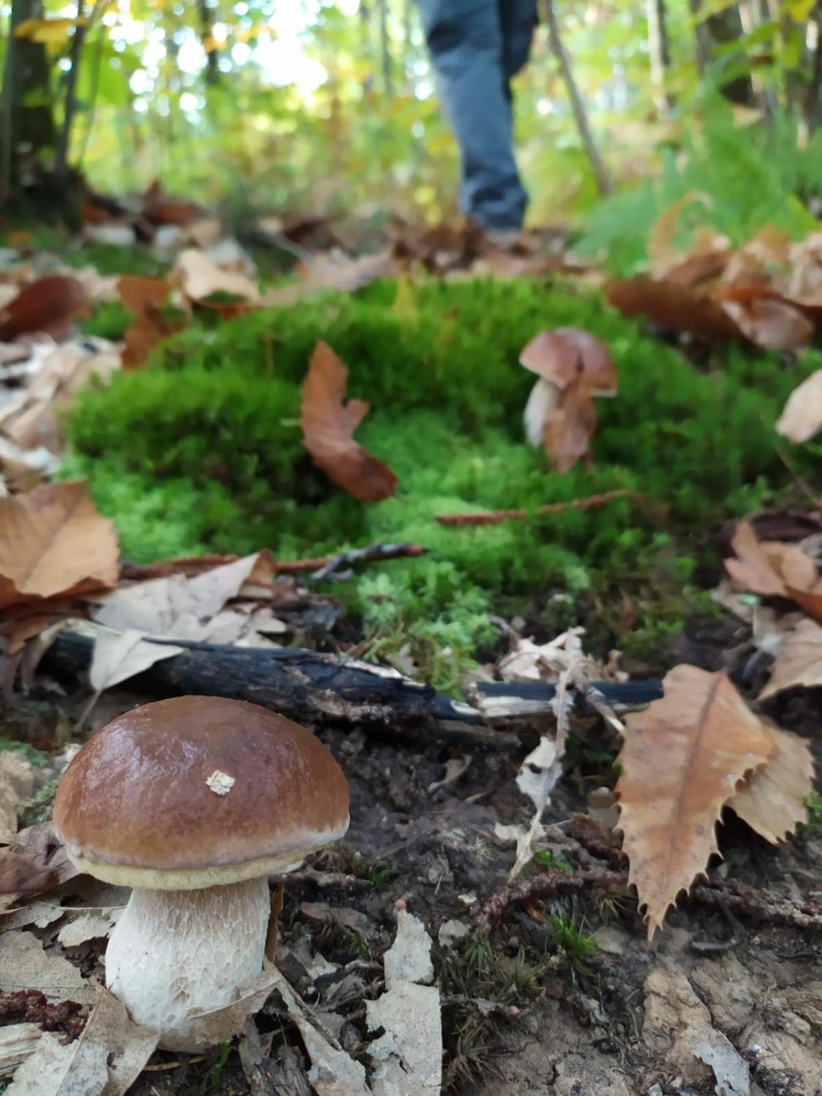 CeticaIl Rifugio Di Vale别墅 外观 照片